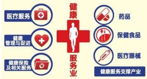 我國(guó)健康服務(wù)業(yè)發(fā)展面臨的問(wèn)題與優(yōu)化路徑