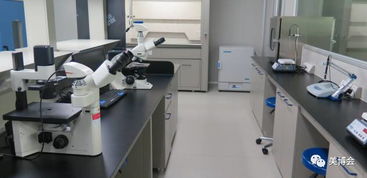 中通 以企業治理護航，打造安全天然有效的健康產品與服務生態